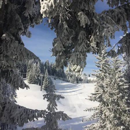 Διαμέρισμα Mountain View Τζαχορίνα