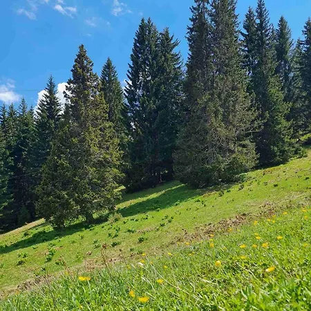 Mountain View Διαμέρισμα
