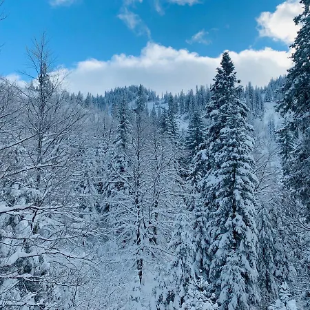 Mountain View Διαμέρισμα *