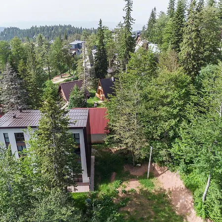Mountain View Διαμέρισμα