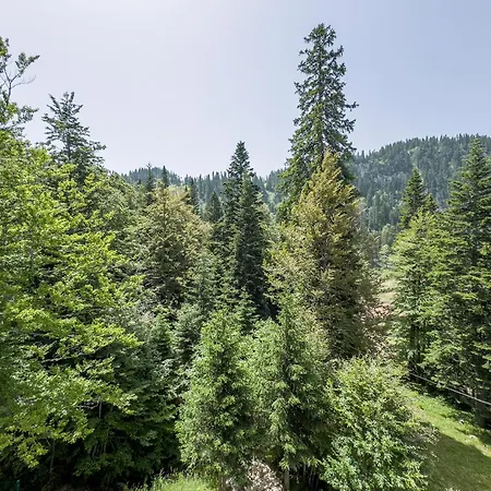 Διαμέρισμα Mountain View